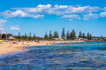 A sunny and busy day at Elwood Beach in Victoria, Australia.