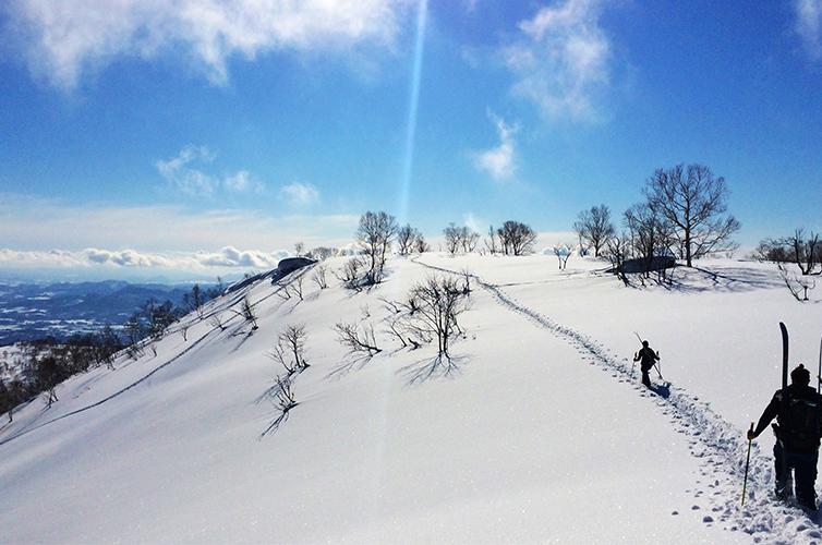 niseko-japan