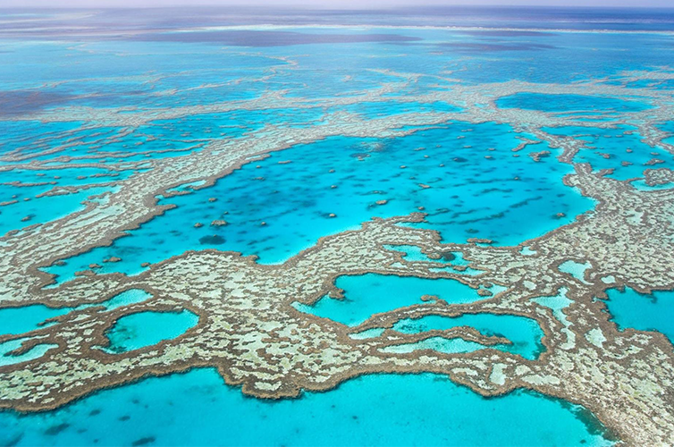 Great Barrier Reef Australia