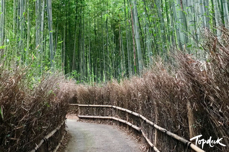 topdeck-kyoto