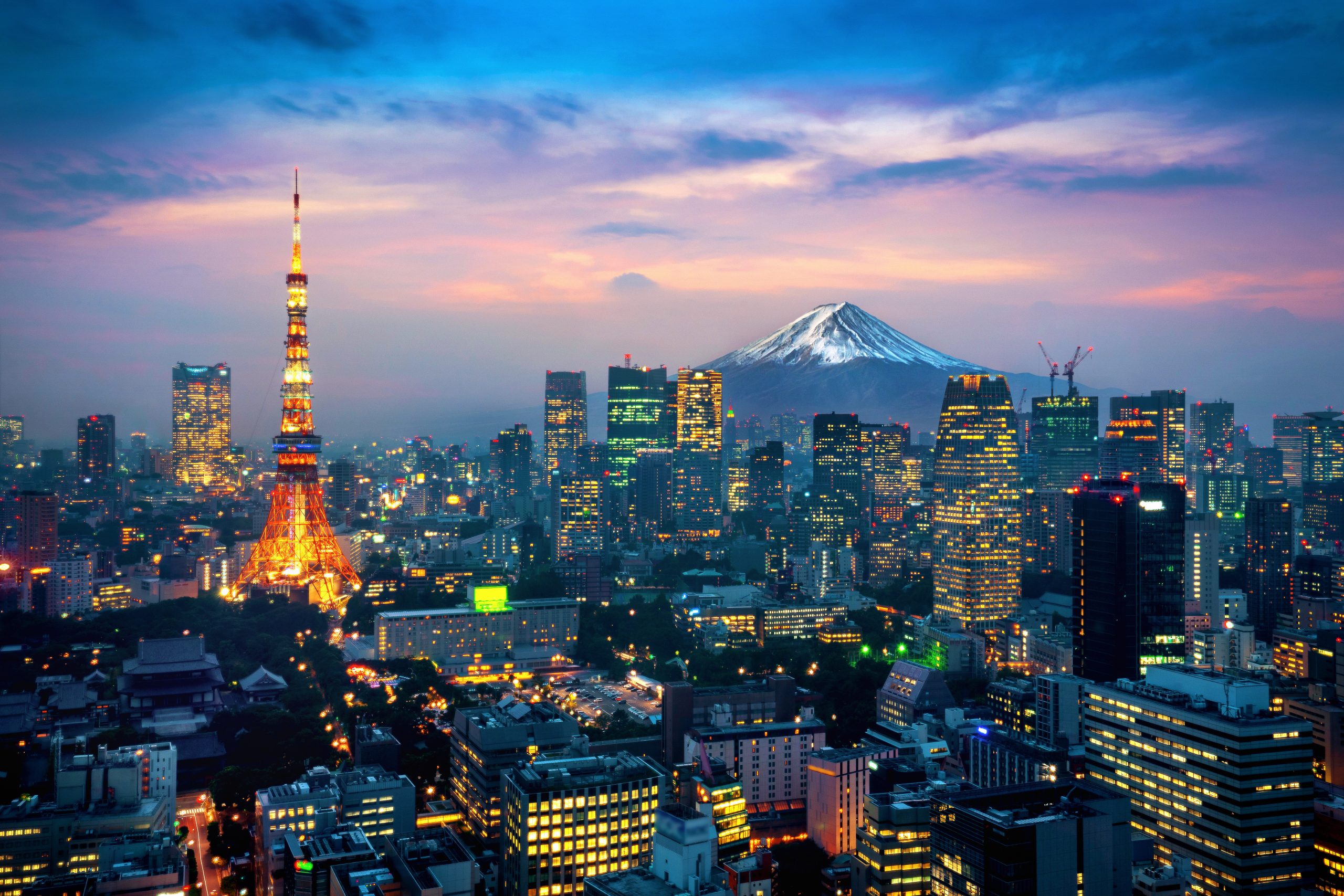 Tokyo skyline with Mt Fuji in the background